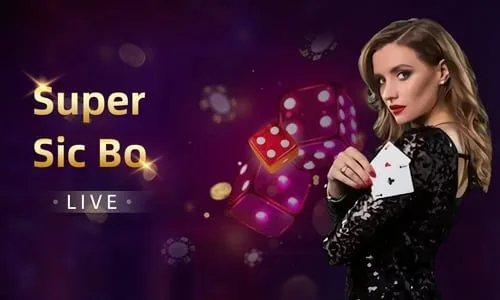 bet336 How bet336 Handles Your Personal Information